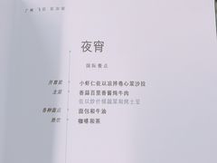 -新加坡航空公司(ION)