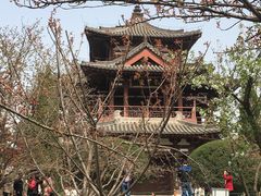 -西安青龙寺遗址景区