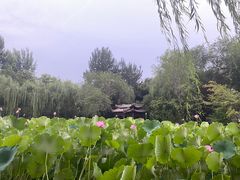 -莲湖公园