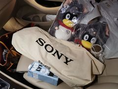 -Sony Store索尼(深圳深业上城店)