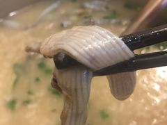 -盛记顺德高佬猪杂粥