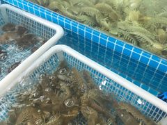 -老东镇啤酒屋海鲜加工·蒸汽海鲜·海鲜烧烤(台东店)