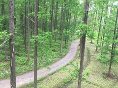 -黄海国家森林公园