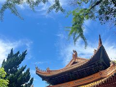 -普陀山风景名胜区-法雨禅寺