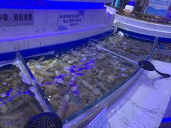 -澜悦港海鲜体验主题餐厅
