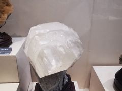 -安徽省地质博物馆