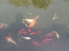 -石老人观光园