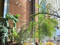 -安妮意大利餐厅(国贸店)