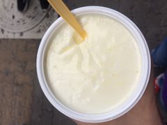 -德禄酸奶(莫家街店)