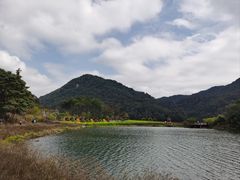 -广州市石门国家森林公园