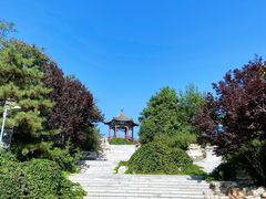 -大兴滨河森林公园