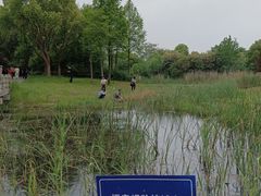 -贡湖湾湿地公园