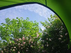 -仙海旅游度假区