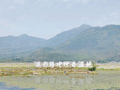 -腾冲北海湿地