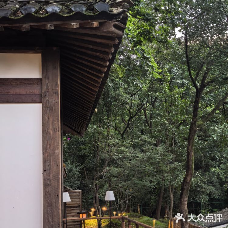 法相素食：一角静谧，古韵悠悠
