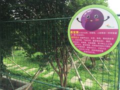 -迪茵湖田家舍生态农场