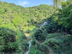 -东莞市大岭山森林公园