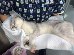 -爱侣宠医·鹦鹉专科·小型哺乳类·异宠专科(灵石路店)