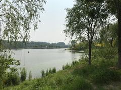 -东郊湿地公园