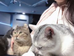 -极木²邸 人与宠物·互动社区