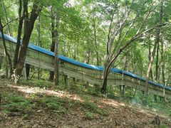 -帽儿山风景区