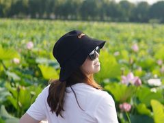 -荷塘月色湿地公园·向阳花洲