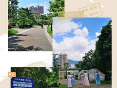 -飞来湖湿地公园