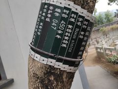 -司徒庙