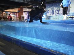 -邯郸海洋世界