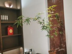 -梅花香里大酒店(郁金香路店)