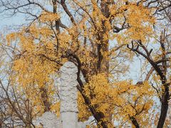 -苏州文庙(姑苏区)