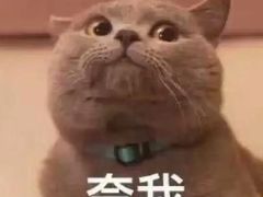 -船歌·鱼水饺青岛菜(恒隆广场店)