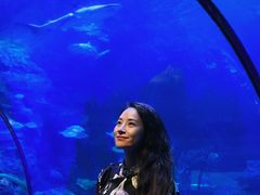-左海海底世界