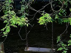 -花溪风景区