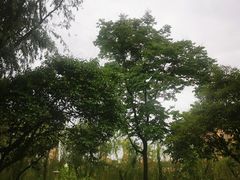 -雁鸣湖休闲公园-停车场
