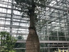 -南山植物园