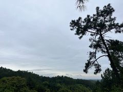 -铁像寺水街