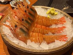 -月龍吟(朝龙汇店)