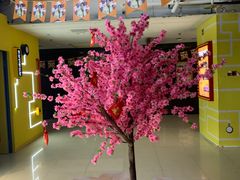 -Xcape异时刻密室逃脱真人NPC(新世界百货崇文店)