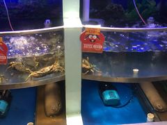 -七欣天香辣蟹火锅(海门解放中路店)