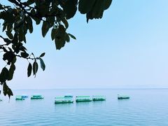 -抚仙湖禄充风景区