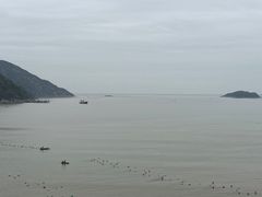 -北岐滩涂