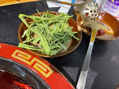 贡菜-谭记重庆老火锅(总店)