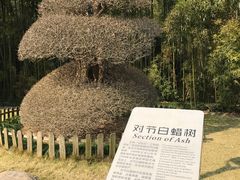 -苏州河梦清园环保主题公园