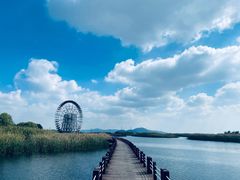 -苏州太湖湖滨国家湿地公园