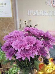 点击看大图 -伊然科技美肤·健康管理中心