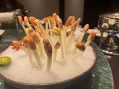 -大唐名家·息壤店