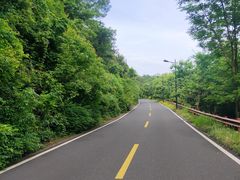 -宝界山林公园