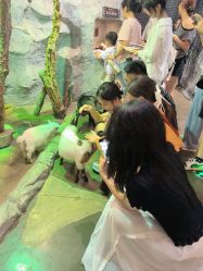 -Zoolung Zoolung动物主题公园(海信广场店)