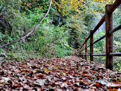 -九鼎铁刹山风景区
